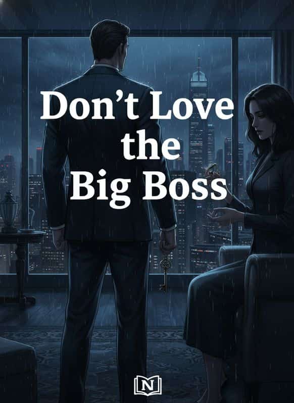 Don't Love the Big Boss cover