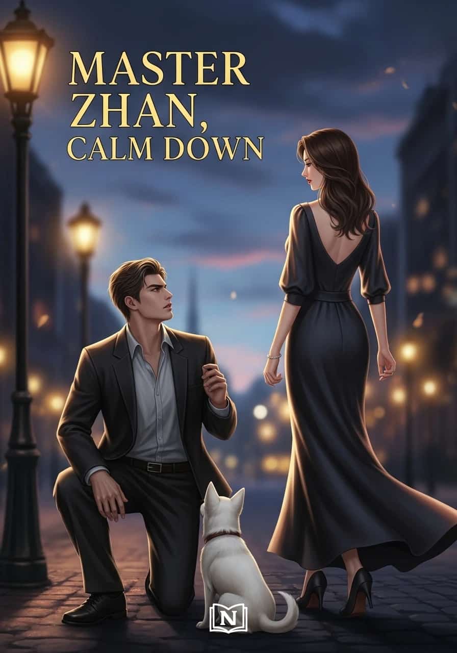 Master Zhan, Calm Down cover