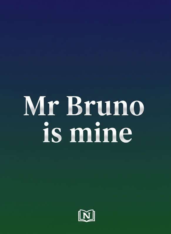 Mr Bruno is mine cover