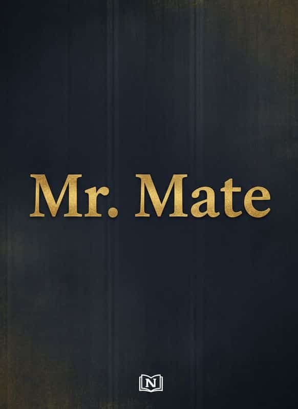 Mr. Mate cover