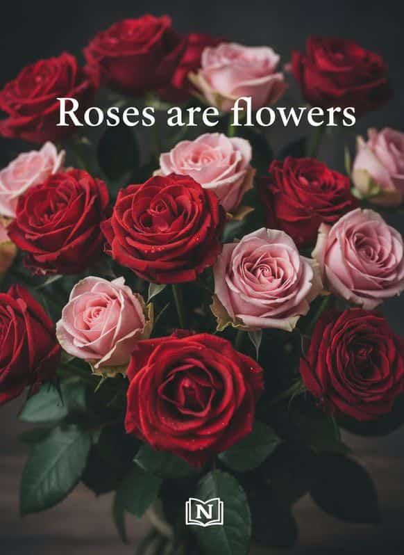 Roses are flowers cover