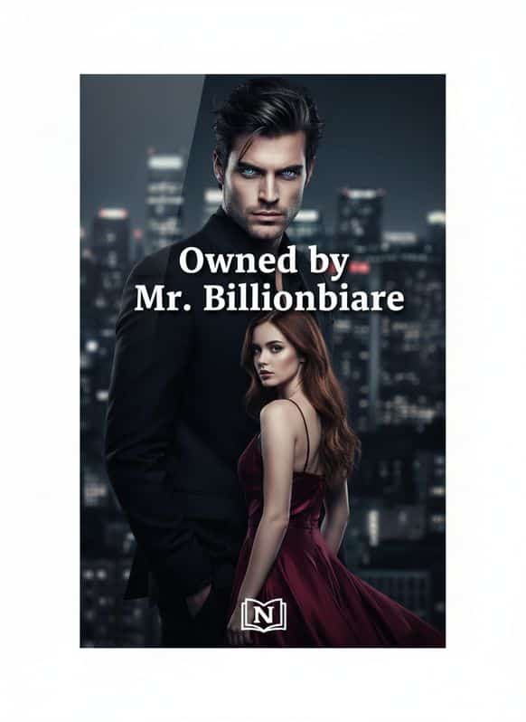 Owned by Mr. Billionaire cover